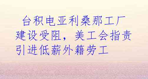  台积电亚利桑那工厂建设受阻，美工会指责引进低薪外籍劳工