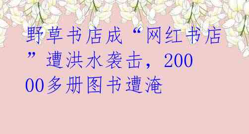 野草书店成“网红书店”遭洪水袭击，20000多册图书遭淹