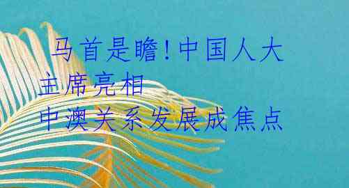  马首是瞻!中国人大主席亮相 中澳关系发展成焦点