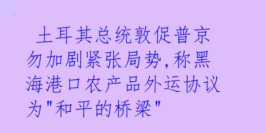  土耳其总统敦促普京勿加剧紧张局势,称黑海港口农产品外运协议为"和平的桥梁"