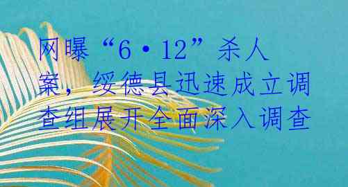 网曝“6·12”杀人案，绥德县迅速成立调查组展开全面深入调查 