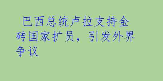  巴西总统卢拉支持金砖国家扩员，引发外界争议