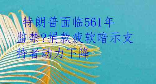  特朗普面临561年监禁?捐款疲软暗示支持者动力下降