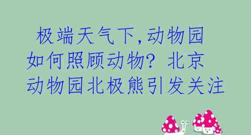  极端天气下,动物园如何照顾动物? 北京动物园北极熊引发关注