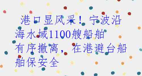  港口显风采！宁波沿海水域1100艘船舶有序撤离，在港避台船舶保安全