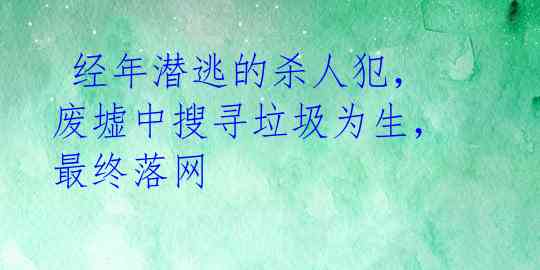  经年潜逃的杀人犯，废墟中搜寻垃圾为生，最终落网