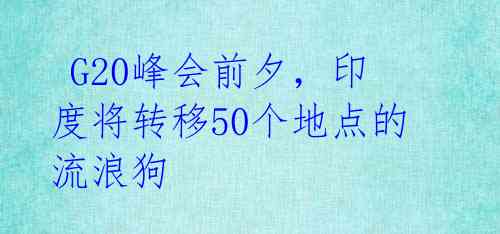  G20峰会前夕，印度将转移50个地点的流浪狗