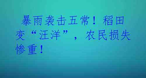  暴雨袭击五常！稻田变“汪洋”，农民损失惨重！