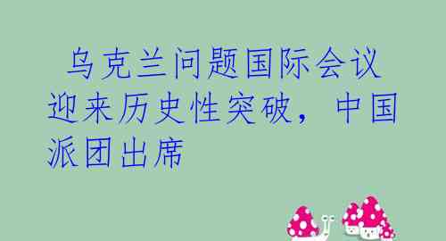  乌克兰问题国际会议迎来历史性突破，中国派团出席 