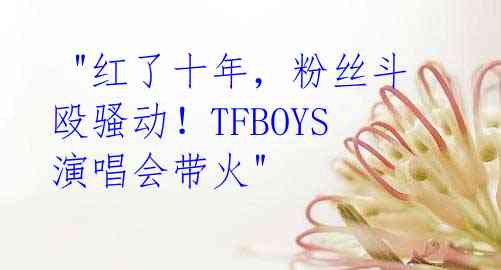  "红了十年，粉丝斗殴骚动！TFBOYS演唱会带火" 