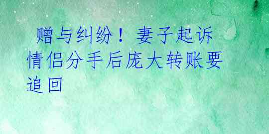  赠与纠纷！妻子起诉情侣分手后庞大转账要追回