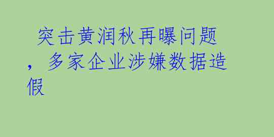  突击黄润秋再曝问题，多家企业涉嫌数据造假