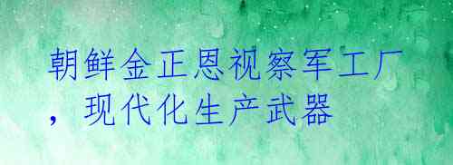 朝鲜金正恩视察军工厂，现代化生产武器