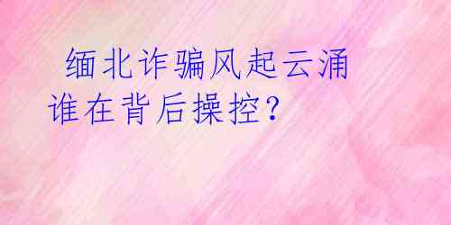  缅北诈骗风起云涌 谁在背后操控？