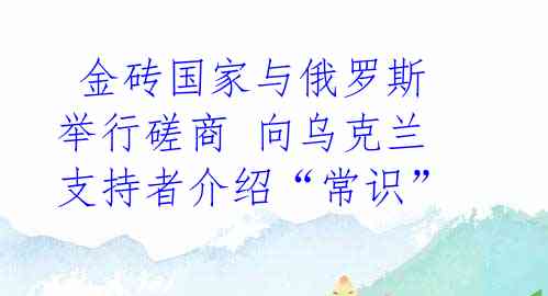  金砖国家与俄罗斯举行磋商 向乌克兰支持者介绍“常识”