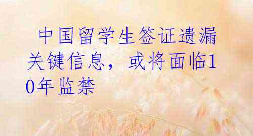  中国留学生签证遗漏关键信息，或将面临10年监禁