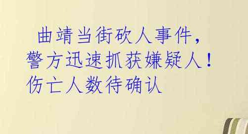  曲靖当街砍人事件，警方迅速抓获嫌疑人！伤亡人数待确认