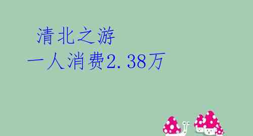  清北之游 一人消费2.38万