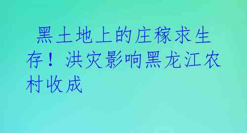  黑土地上的庄稼求生存！洪灾影响黑龙江农村收成