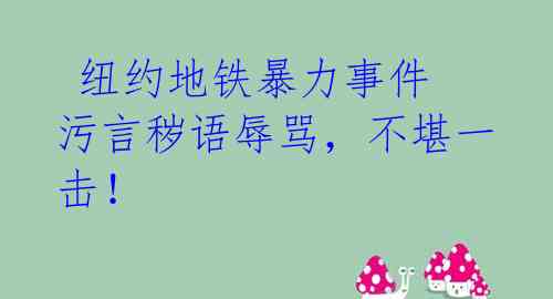  纽约地铁暴力事件 污言秽语辱骂，不堪一击！