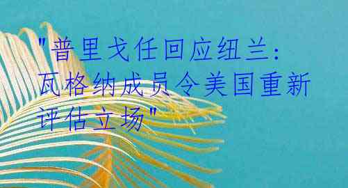  "普里戈任回应纽兰: 瓦格纳成员令美国重新评估立场"