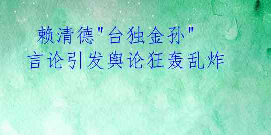  赖清德"台独金孙"言论引发舆论狂轰乱炸