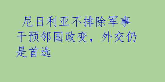  尼日利亚不排除军事干预邻国政变，外交仍是首选