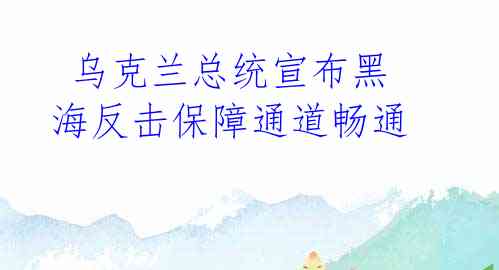  乌克兰总统宣布黑海反击保障通道畅通