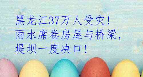 黑龙江37万人受灾! 雨水席卷房屋与桥梁,堤坝一度决口!