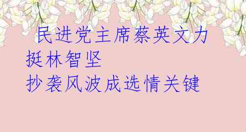  民进党主席蔡英文力挺林智坚 抄袭风波成选情关键