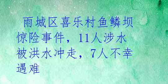  雨城区喜乐村鱼鳞坝惊险事件，11人涉水被洪水冲走，7人不幸遇难