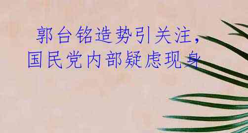  郭台铭造势引关注，国民党内部疑虑现身