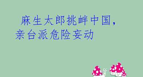  麻生太郎挑衅中国，亲台派危险妄动