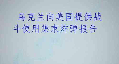  乌克兰向美国提供战斗使用集束炸弹报告