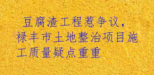  豆腐渣工程惹争议，禄丰市土地整治项目施工质量疑点重重