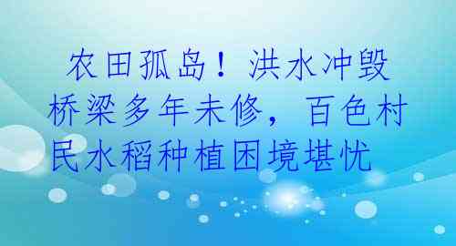  农田孤岛！洪水冲毁桥梁多年未修，百色村民水稻种植困境堪忧