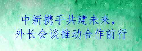  中新携手共建未来，外长会谈推动合作前行