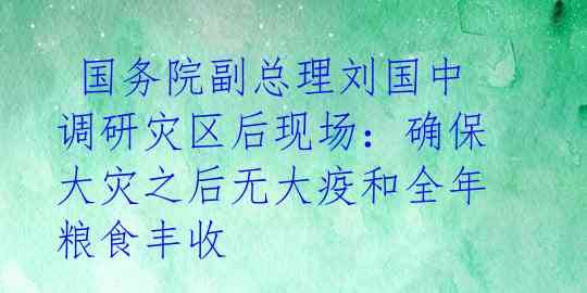  国务院副总理刘国中调研灾区后现场：确保大灾之后无大疫和全年粮食丰收