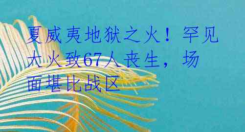 夏威夷地狱之火！罕见大火致67人丧生，场面堪比战区