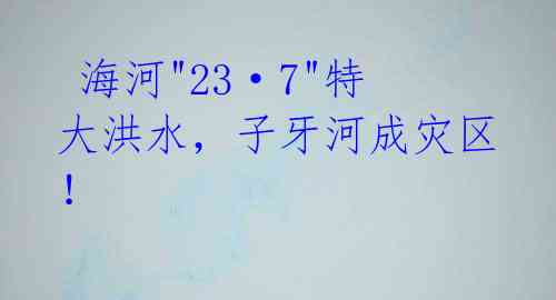  海河"23·7"特大洪水，子牙河成灾区！