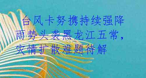  台风卡努携持续强降雨势头袭黑龙江五常，灾情扩散难题待解