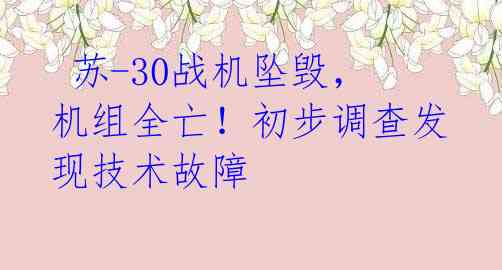  苏-30战机坠毁，机组全亡！初步调查发现技术故障