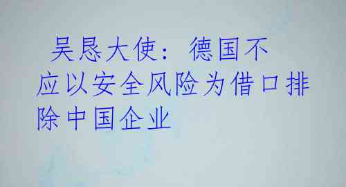  吴恳大使: 德国不应以安全风险为借口排除中国企业