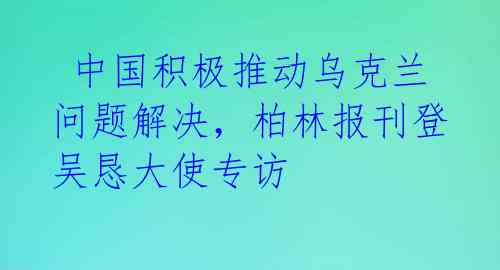  中国积极推动乌克兰问题解决，柏林报刊登吴恳大使专访