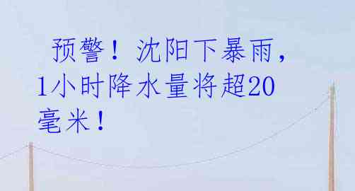  预警！沈阳下暴雨，1小时降水量将超20毫米！