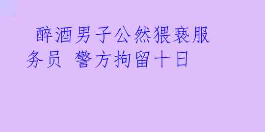  醉酒男子公然猥亵服务员 警方拘留十日