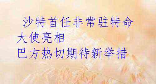  沙特首任非常驻特命大使亮相 巴方热切期待新举措