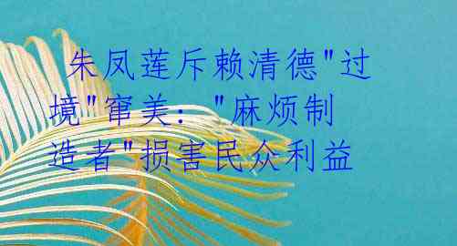  朱凤莲斥赖清德"过境"窜美: "麻烦制造者"损害民众利益