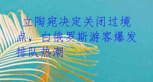  立陶宛决定关闭过境点，白俄罗斯游客爆发排队热潮