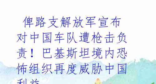  俾路支解放军宣布对中国车队遭枪击负责！巴基斯坦境内恐怖组织再度威胁中国利益